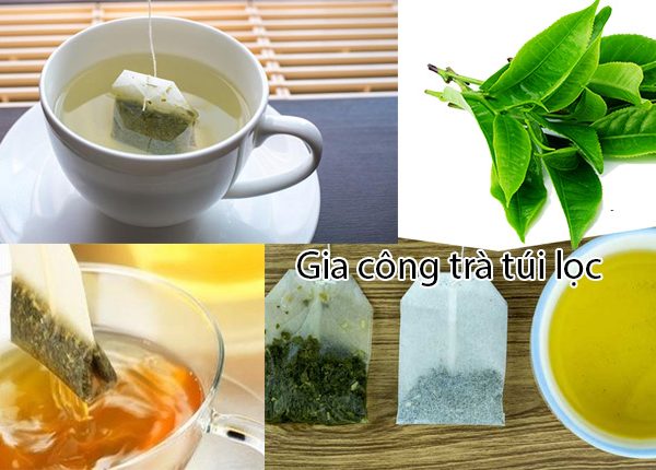 Công ty chuyên nhận gia công trà túi lọc - Dich vụ gia công trà trọn gói.