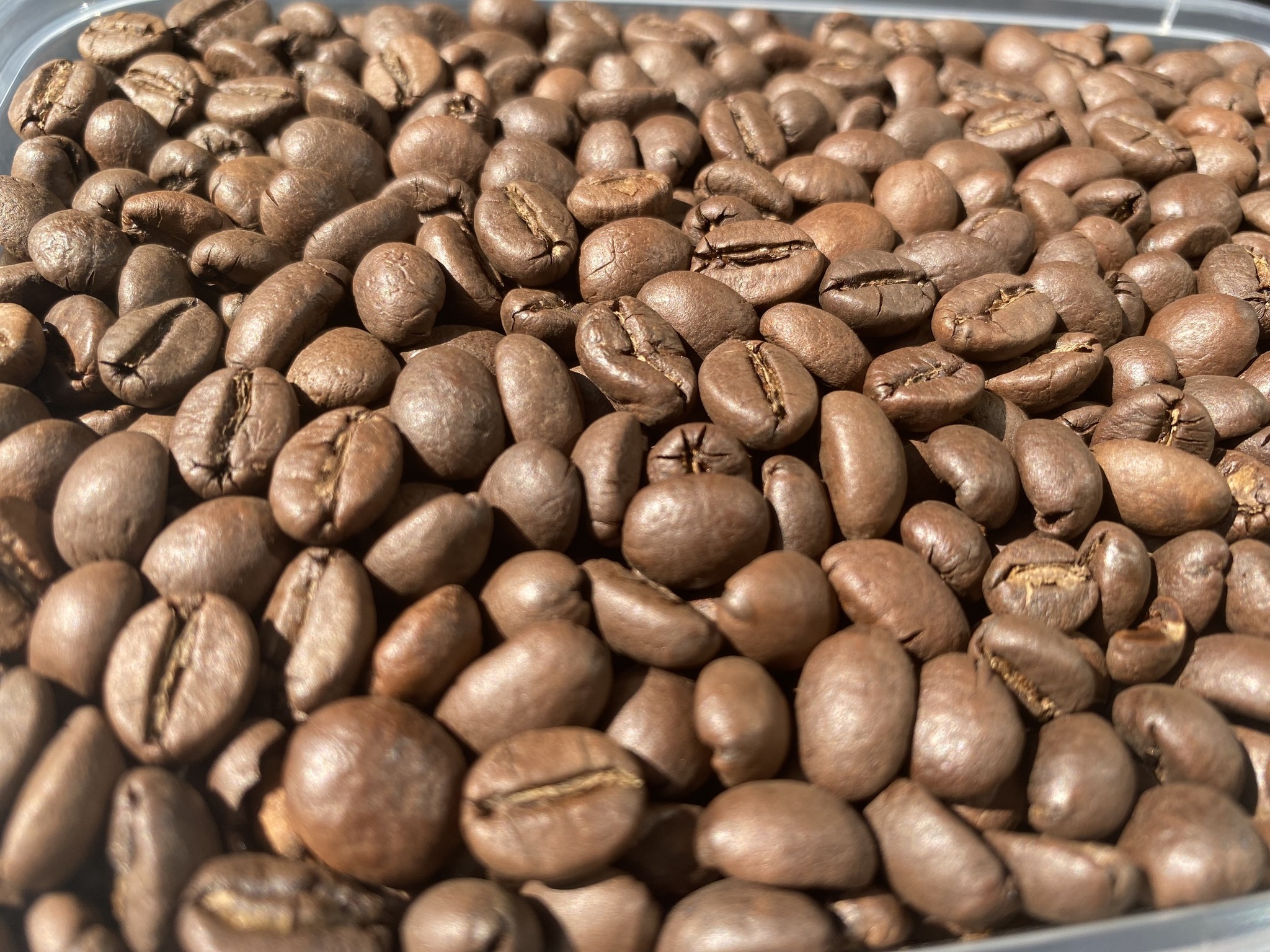 Private Label Coffee Manufacturers In Vietnam ISO 22000 HALAL - Coffee Bean Roasted