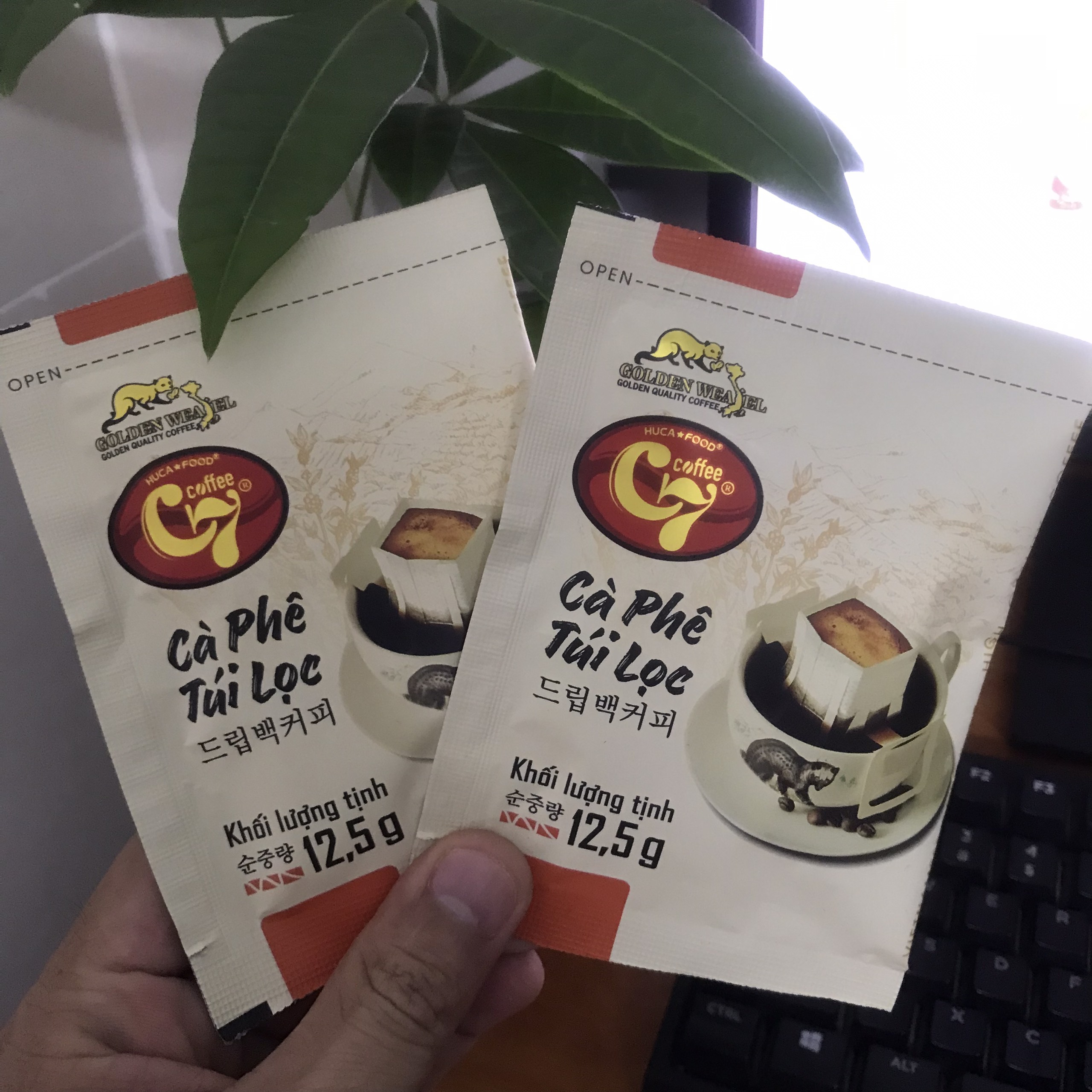 Your Trusted Partner For Private Label Coffee Filter Bag Manufacturing