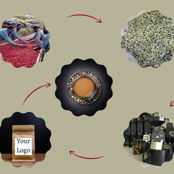 OEM Coffee Malaysia vs OEM Coffee Vietnam — Why HUCAFOOD