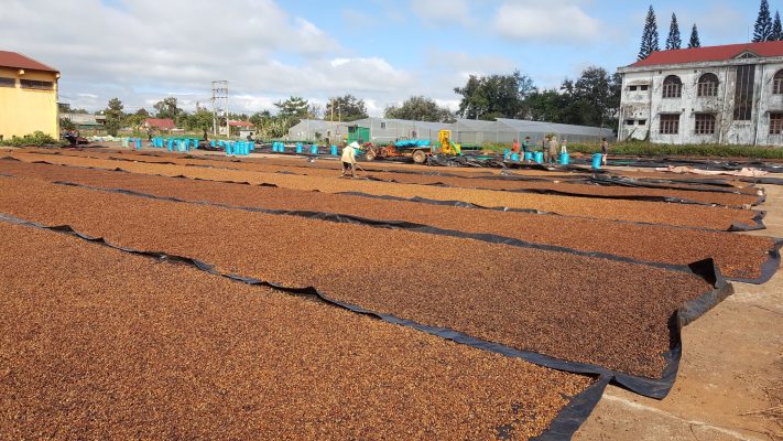 OEM Coffee Malaysia vs OEM Coffee Vietnam — Why HUCAFOOD