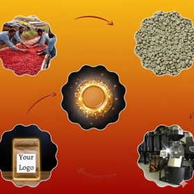 Gia công cà phê hạt rang Những điều doanh nghiệp cần biết trước khi bắt đầu