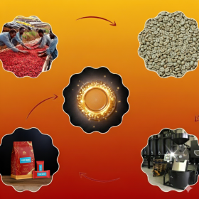 Gia công cà phê hòa tan là gì Quy trình tiêu chuẩn tại Việt Nam