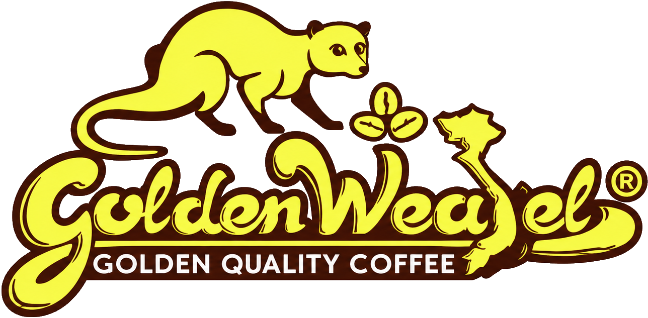 logo vàng (1) logo vàng (1)